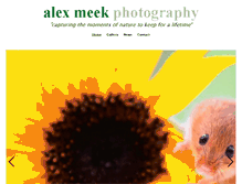 Tablet Screenshot of alexmeekphotography.co.uk